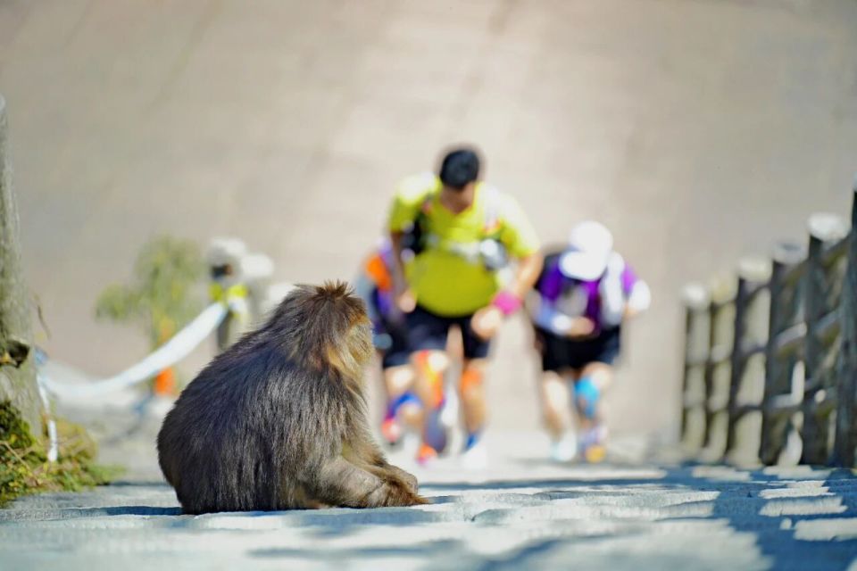 scale, mark scale, mark